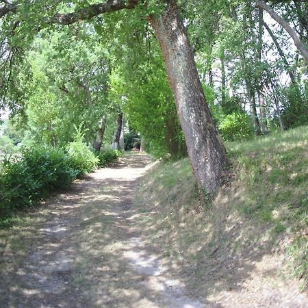 Lovely Holiday Home In Montefiridolfi With Hill View Extérieur photo