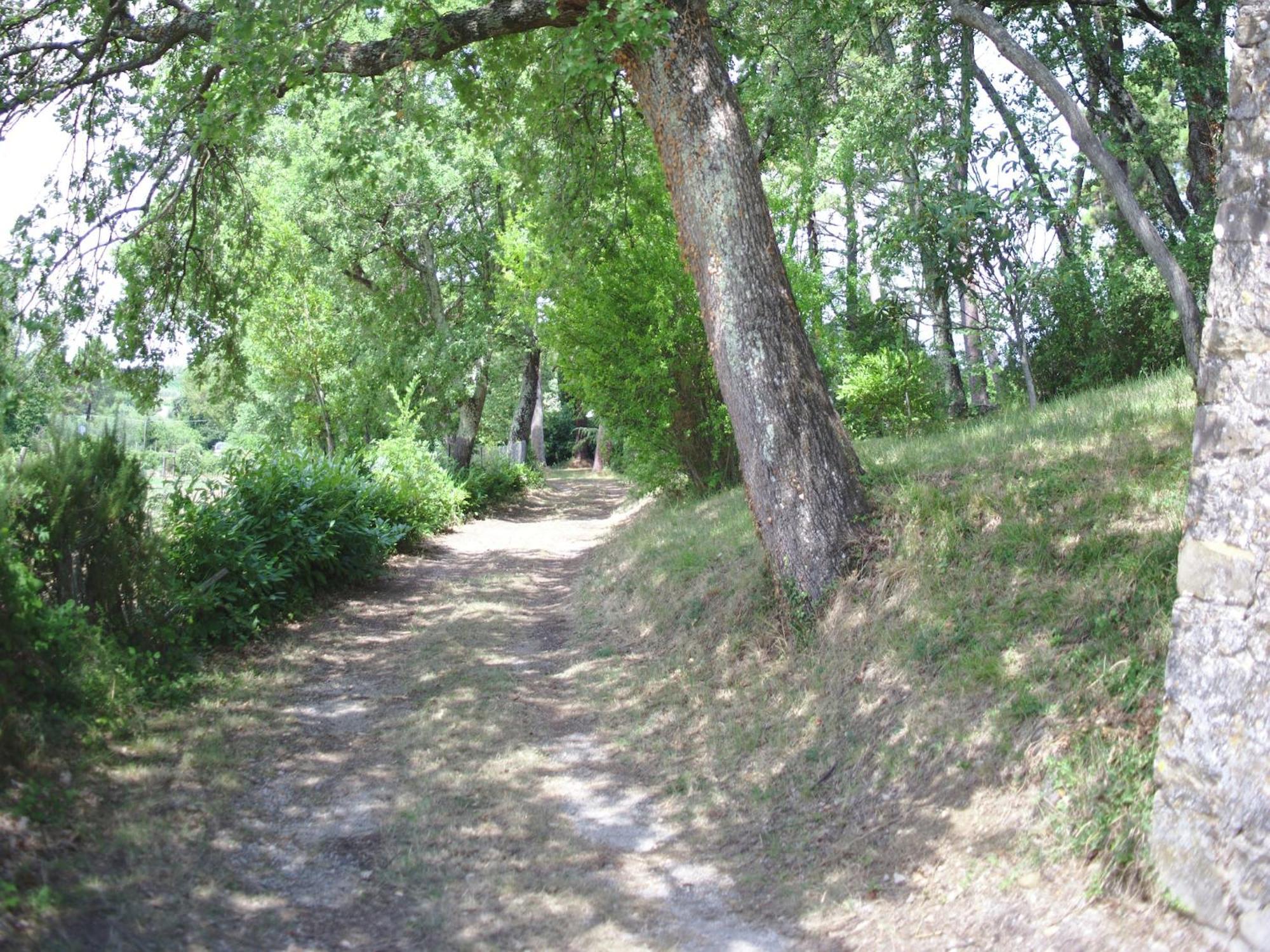 Lovely Holiday Home In Montefiridolfi With Hill View Extérieur photo