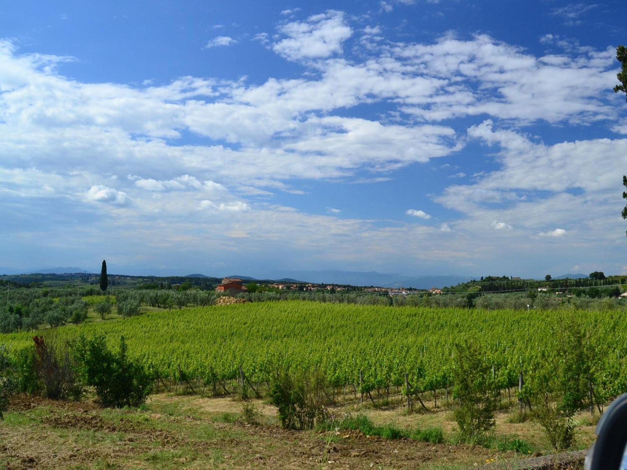 Lovely Holiday Home In Montefiridolfi With Hill View Extérieur photo