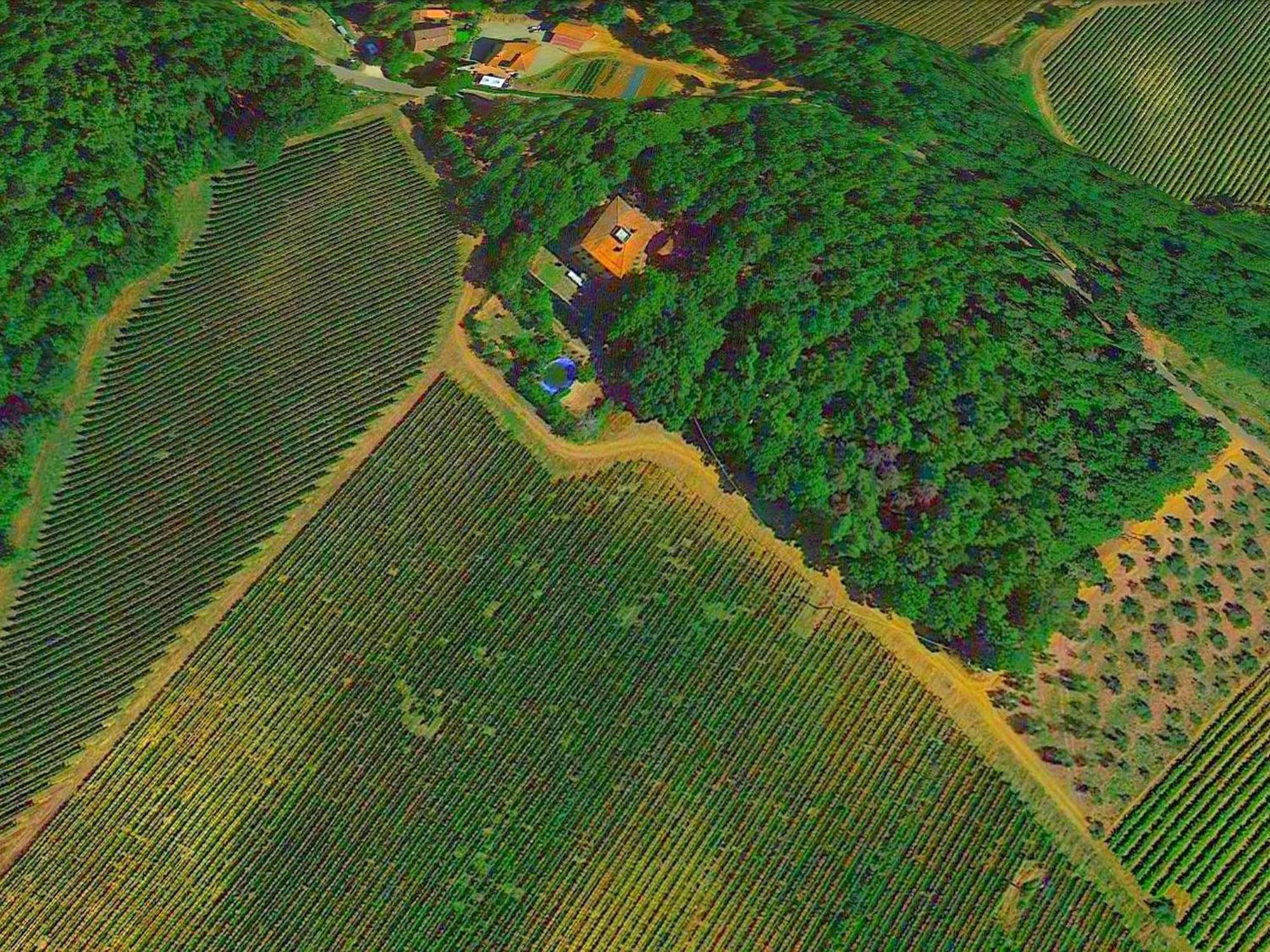 Lovely Holiday Home In Montefiridolfi With Hill View Extérieur photo