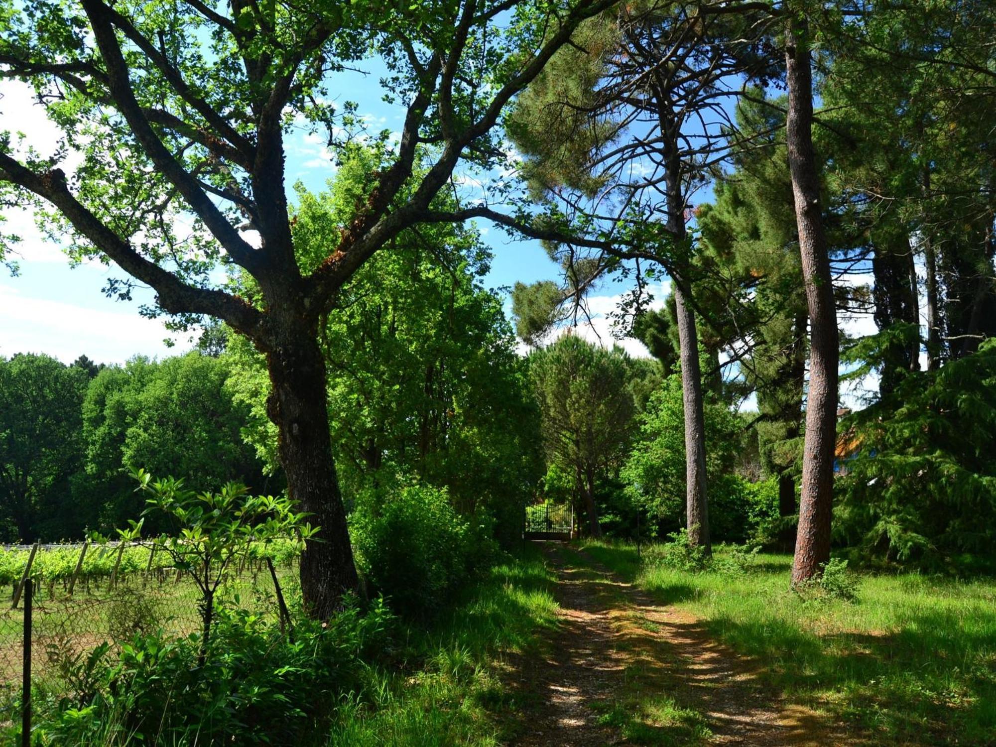 Lovely Holiday Home In Montefiridolfi With Hill View Extérieur photo