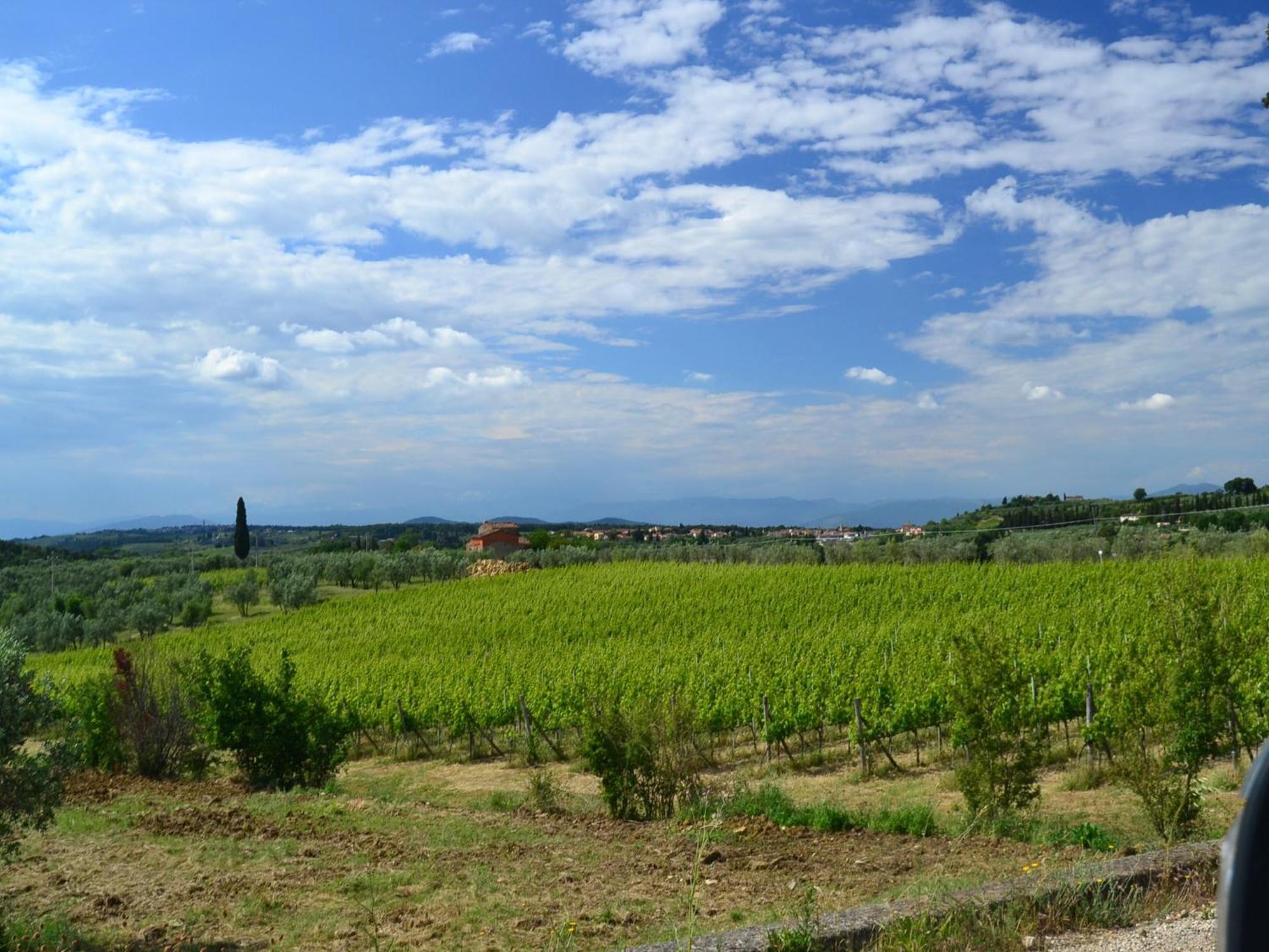 Lovely Holiday Home In Montefiridolfi With Hill View Extérieur photo