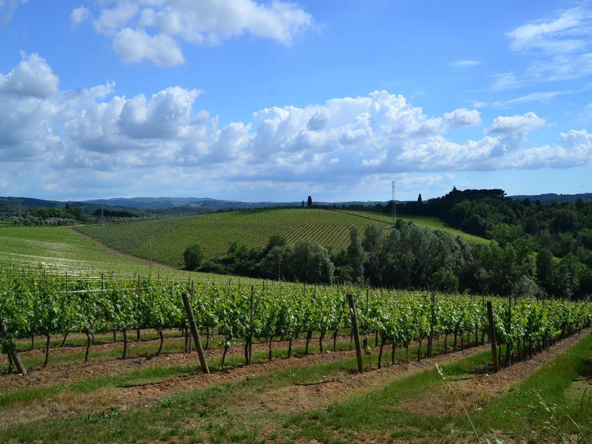 Lovely Holiday Home In Montefiridolfi With Hill View Extérieur photo